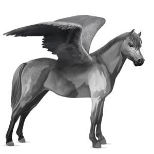 poney pégase shetland alezan