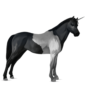 poney licorne kerry bog pie tobiano gris souris