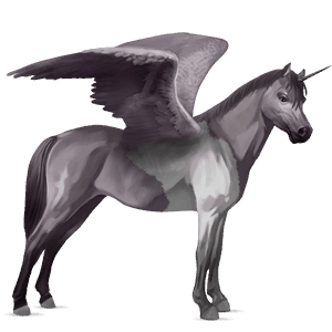 poney licorne ailé shetland pie tobiano gris souris