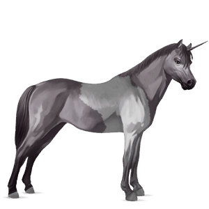 poney licorne kerry bog pie tobiano gris souris