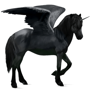 licorne de selle ailée brumby noir