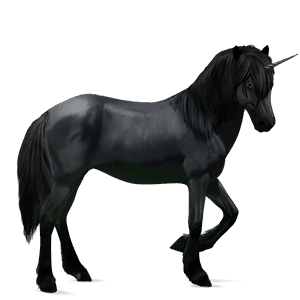 licorne de selle cheval islandais noir
