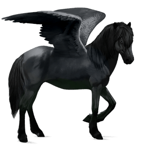 pégase de selle camargue gris pommelé