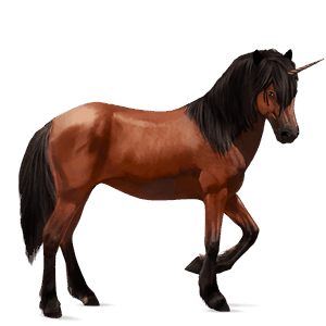 licorne de selle brumby bai cerise