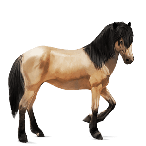 cheval de selle henson isabelle