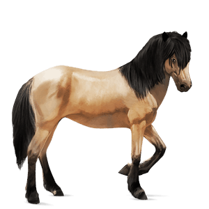 cheval de selle brumby isabelle