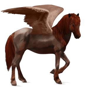 pégase de selle cheval islandais aubère