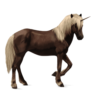 licorne de selle cheval islandais noir
