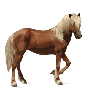 cheval de selle paint horse pie tobiano alezan