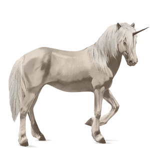 licorne de selle finlandais bai