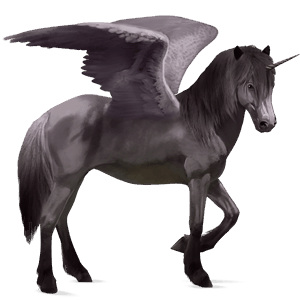 licorne de selle ailée brumby bai