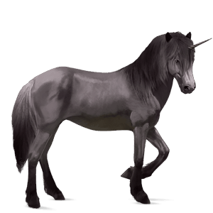 licorne de selle cheval islandais gris souris
