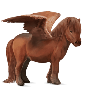 poney pégase shetland alezan