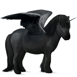 poney licorne ailé shetland noir