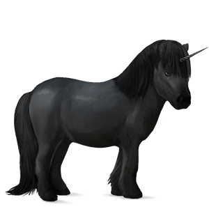 poney licorne shetland noir