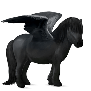 poney pégase shetland bai