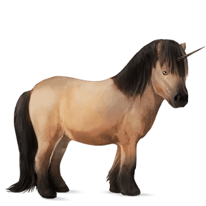 poney licorne shetland isabelle