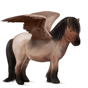 poney pégase pottok alezan brûlé
