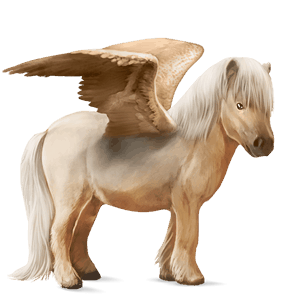 poney pégase shetland bai cerise