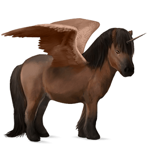 poney licorne ailé shetland bai
