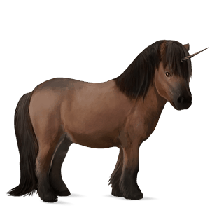 poney licorne shetland bai