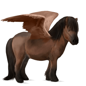 poney pégase shetland alezan brûlé