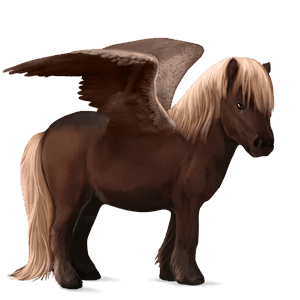 poney pégase shetland bai