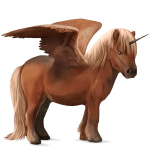 poney licorne ailé shetland bai brûlé