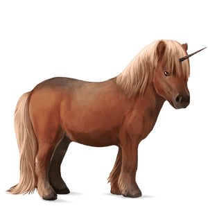 poney licorne shetland alezan crins lavés