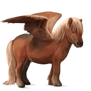 poney pégase shetland alezan crins lavés