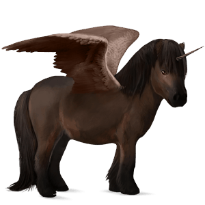poney licorne ailé shetland bai brûlé
