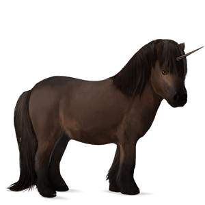 poney licorne shetland bai brûlé
