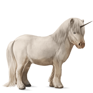 poney licorne shetland alezan crins lavés