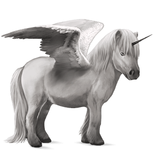 poney licorne ailé shetland gris clair