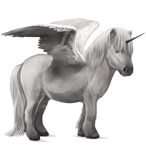 poney licorne ailé shetland gris souris
