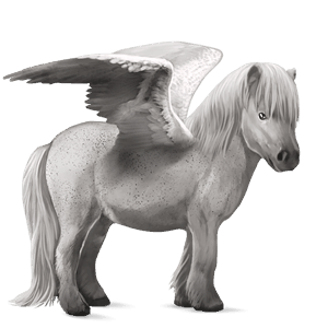 poney pégase shetland bai brûlé