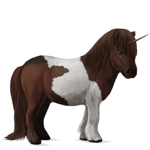 poney licorne shetland pie tobiano alezan brûlé