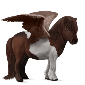 poney pégase shetland alezan