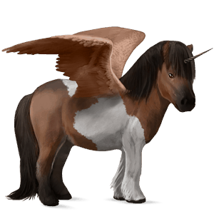 poney licorne ailé shetland pie tobiano bai