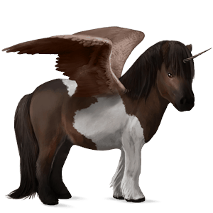 poney licorne ailé shetland pie tobiano bai