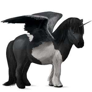 poney licorne ailé shetland bai cerise