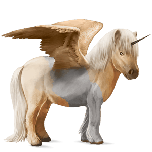 poney licorne ailé shetland pie tobiano palomino