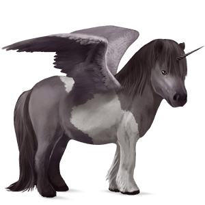 poney licorne ailé shetland pie tobiano alezan brûlé