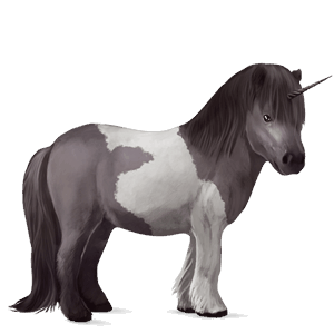 poney licorne dartmoor rouan