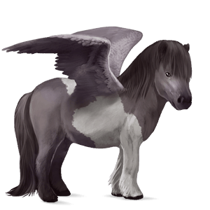poney pégase shetland alezan