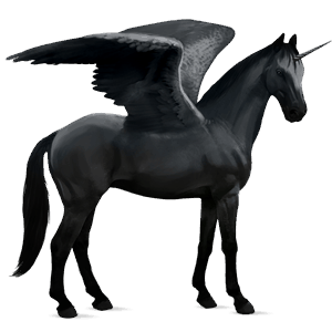 licorne de selle ailée cheval canadien noir