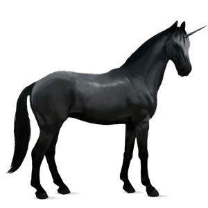 licorne de selle selle français noir