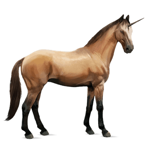 licorne de selle anglo-arabe isabelle