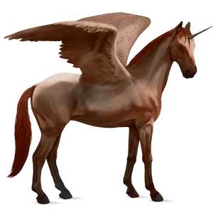 licorne de selle ailée anglo-arabe bai brûlé