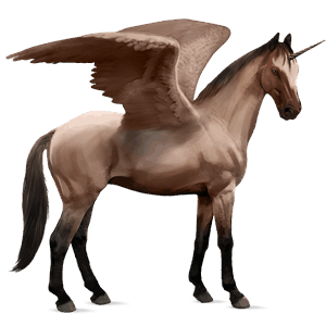 licorne de selle ailée anglo-arabe rouan
